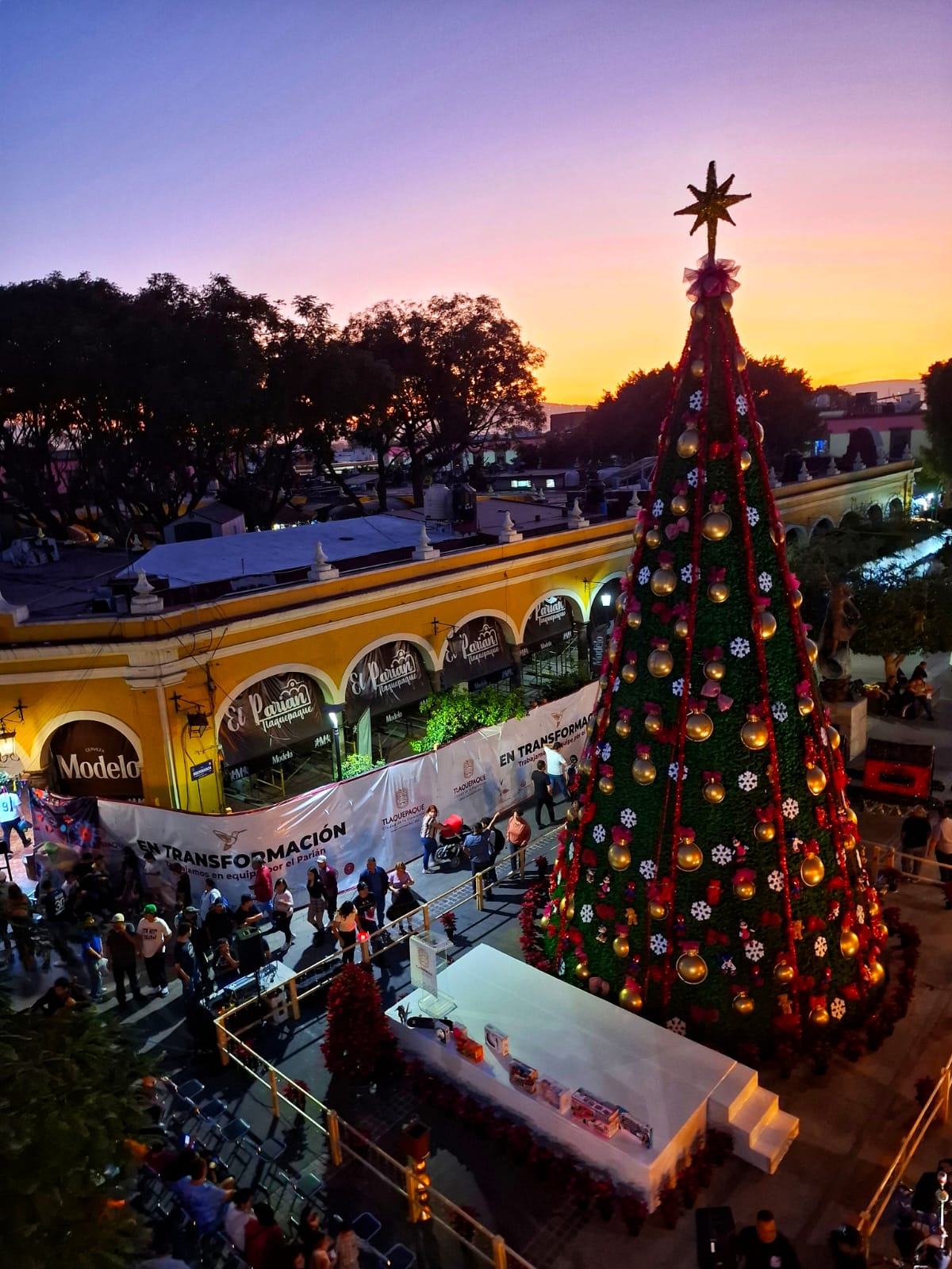 CON LUCES DE ESPERANZA ILUMINAN EL ÁRBOL NAVIDEÑO