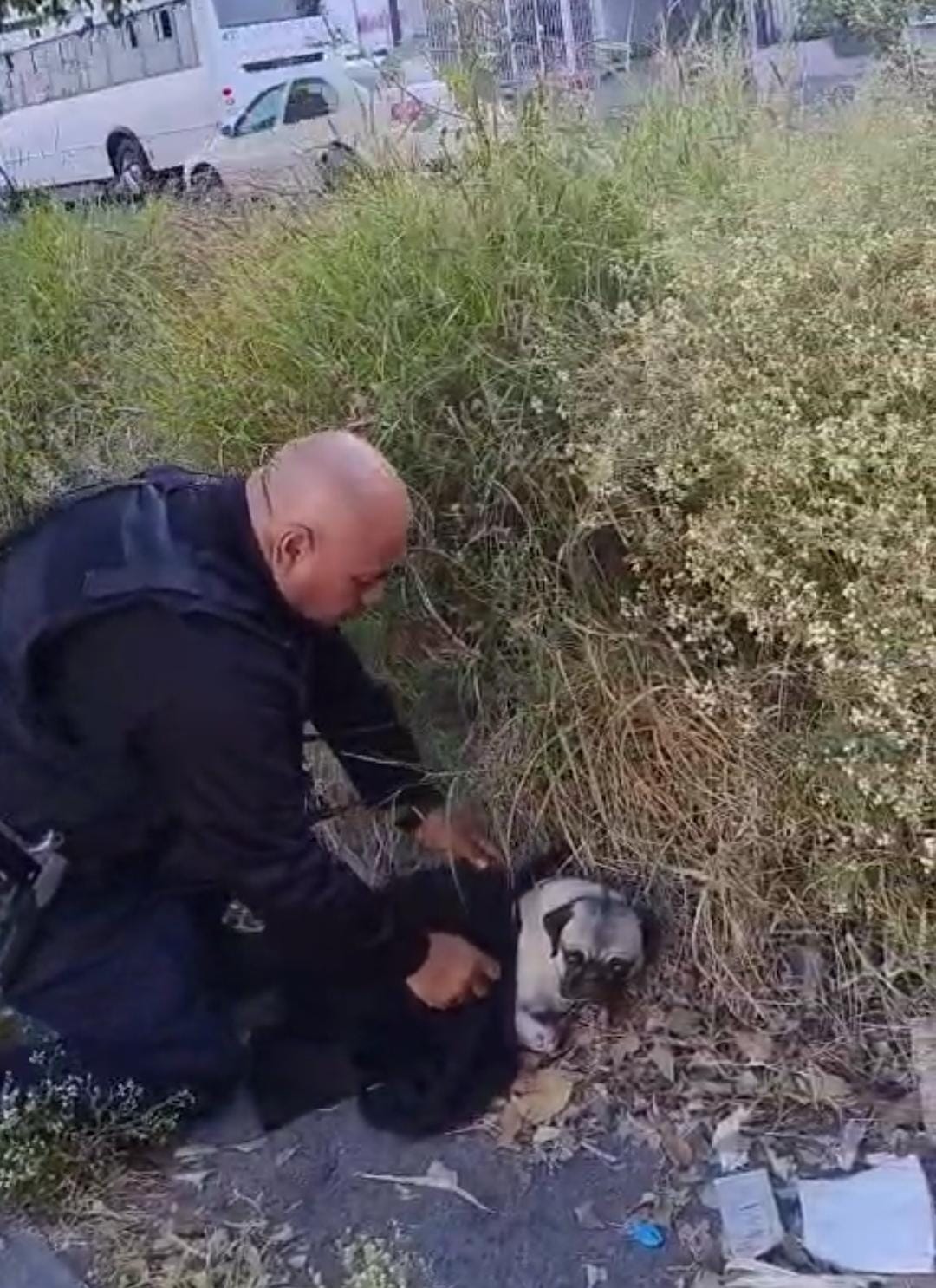 POLICÍAS RESCATAN DOS PERRITOS LESIONADOS