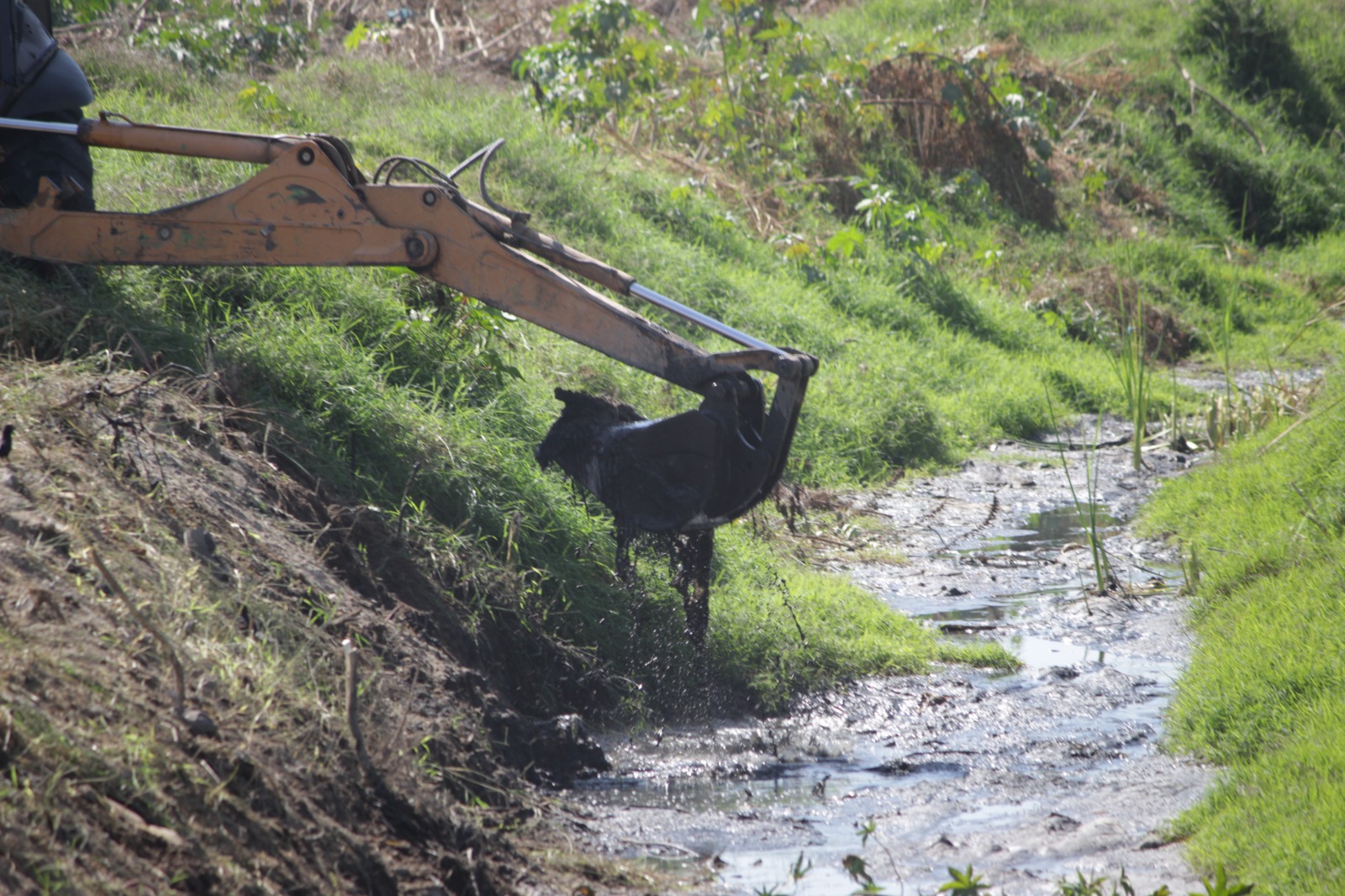 AVANZA EL SANEAMIENTO DE ARROYOS Y CANALES EN TLAQUEPAQUE